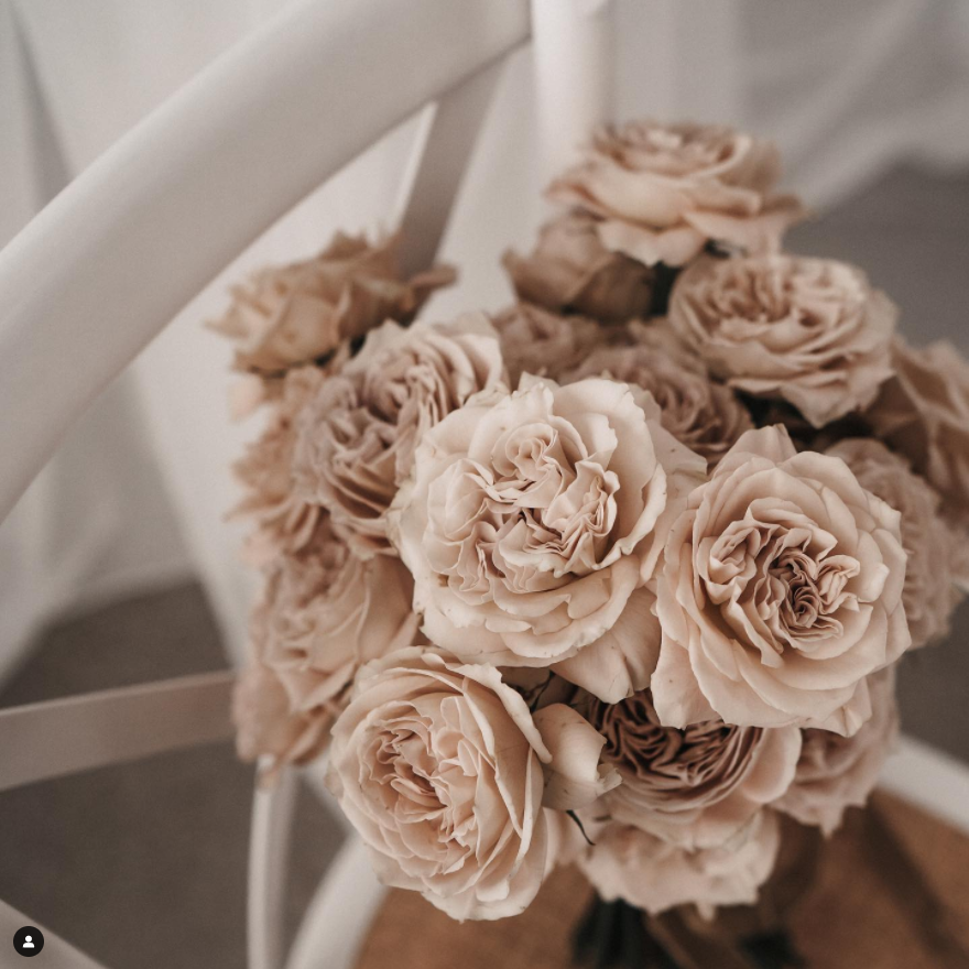 Floral Aesthetics