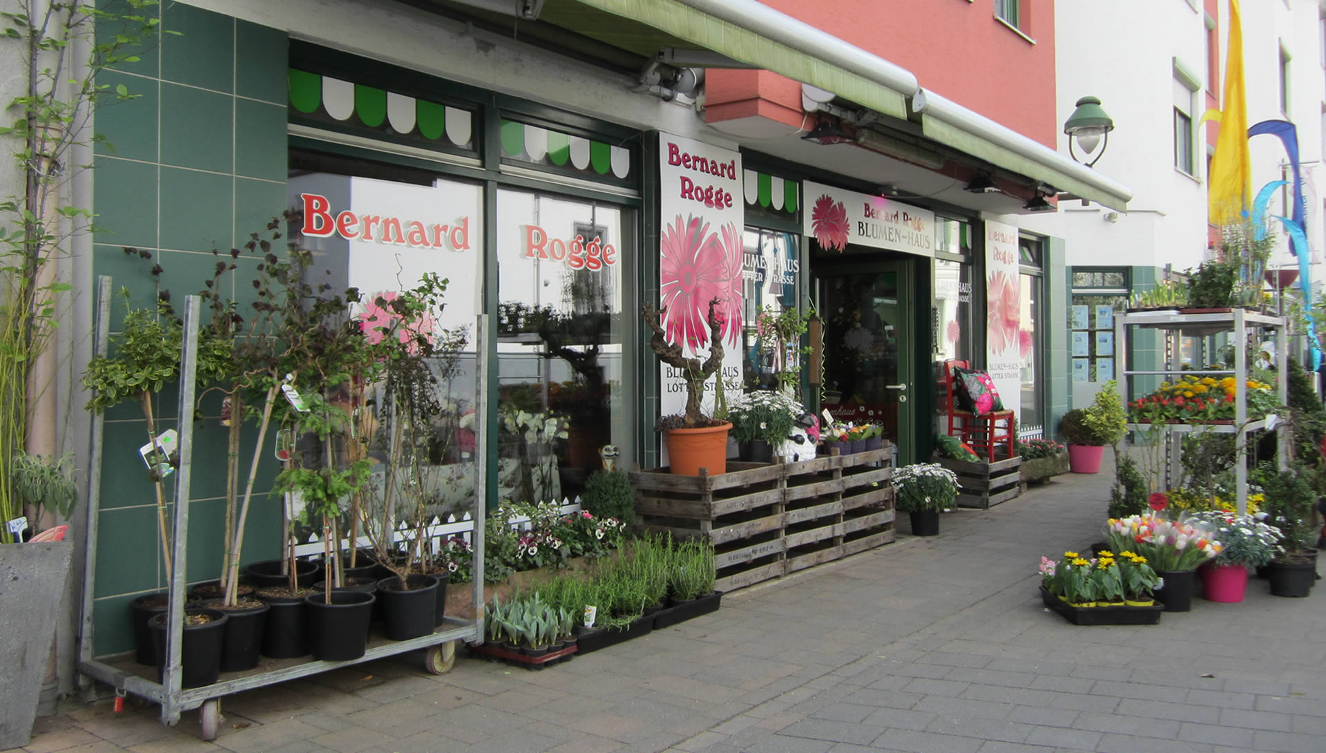 Blumenhaus Rogge 1