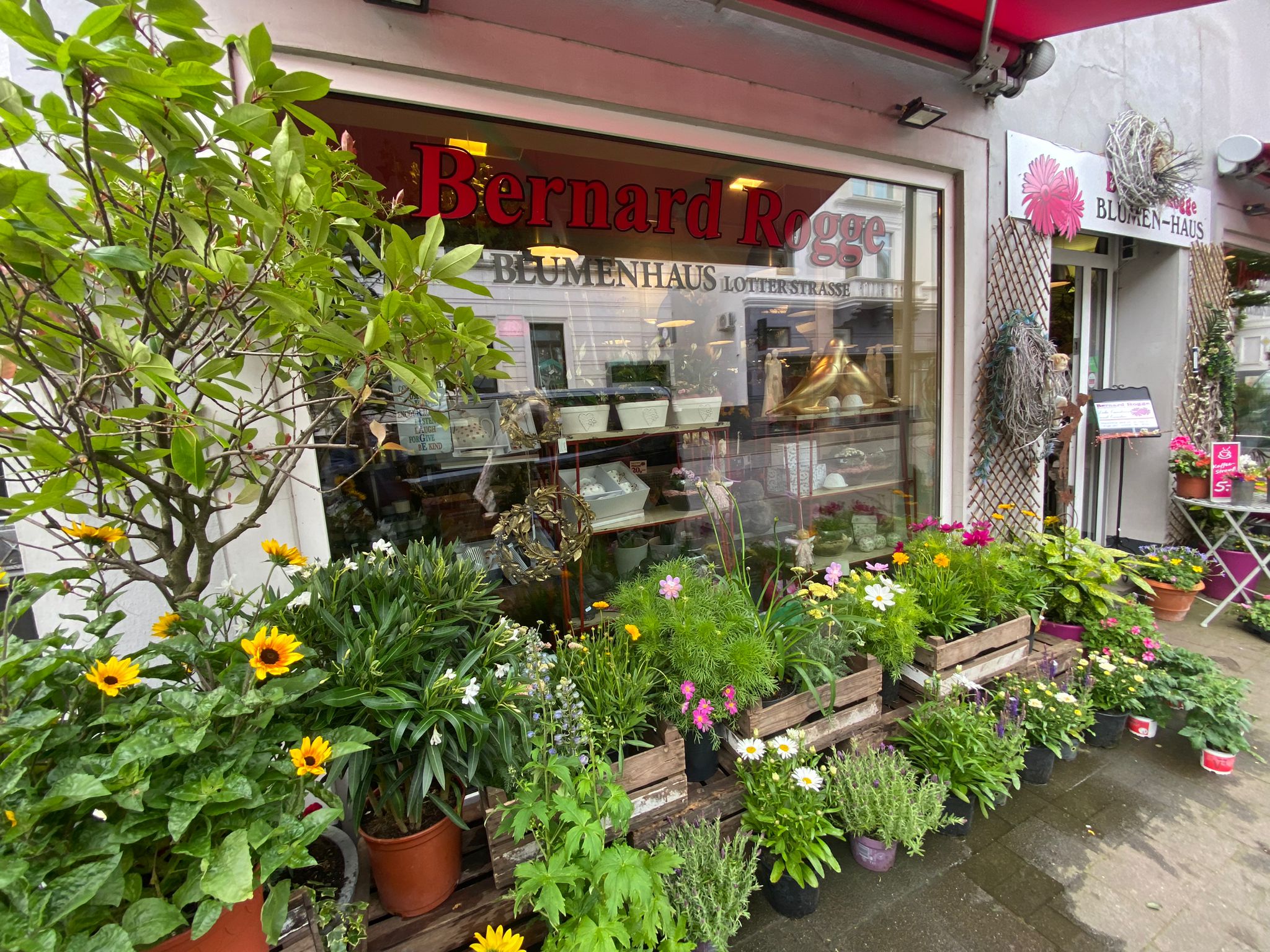 Blumenhaus Rogge 1