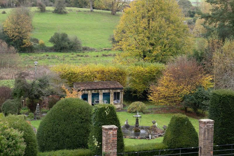 our garden