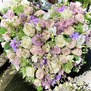 Blumen Becht