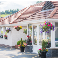 Hamilton Court Care Home
