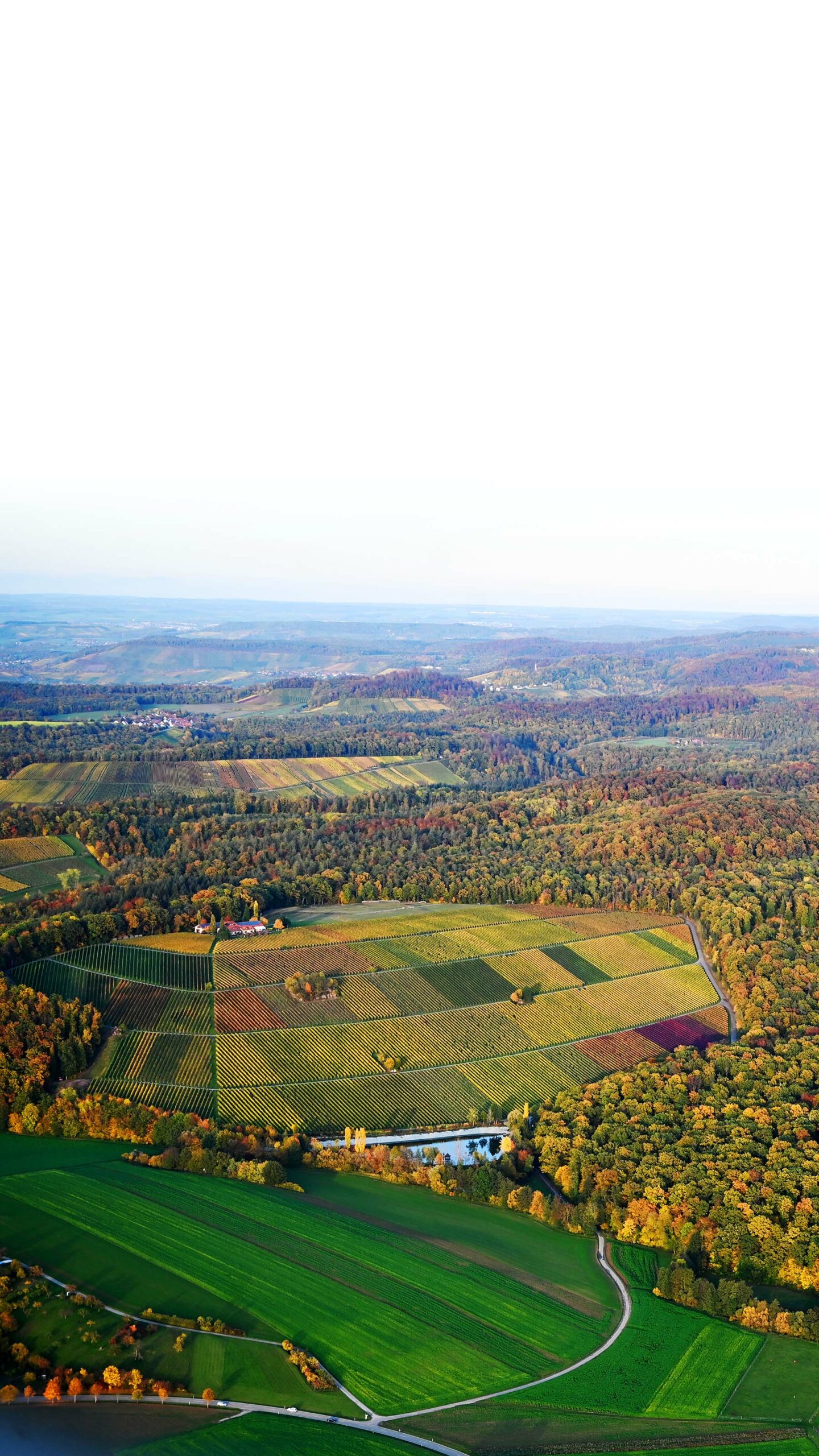 Weingut Amalienhof