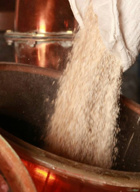 Brauhaus Oberursel, Malz wird in den Sudkessel gefüllt.