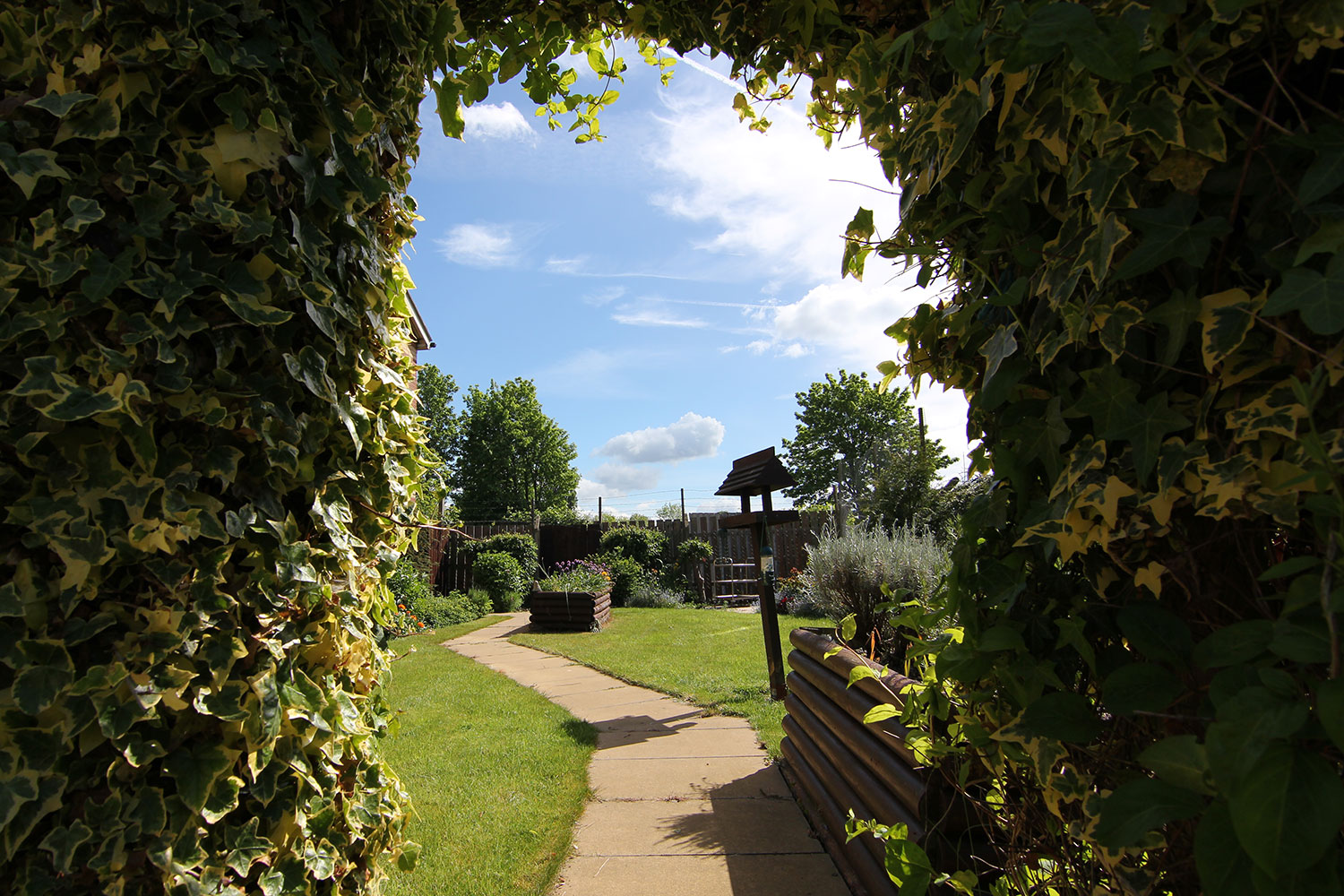 Darlington Manor Care Home - Garden