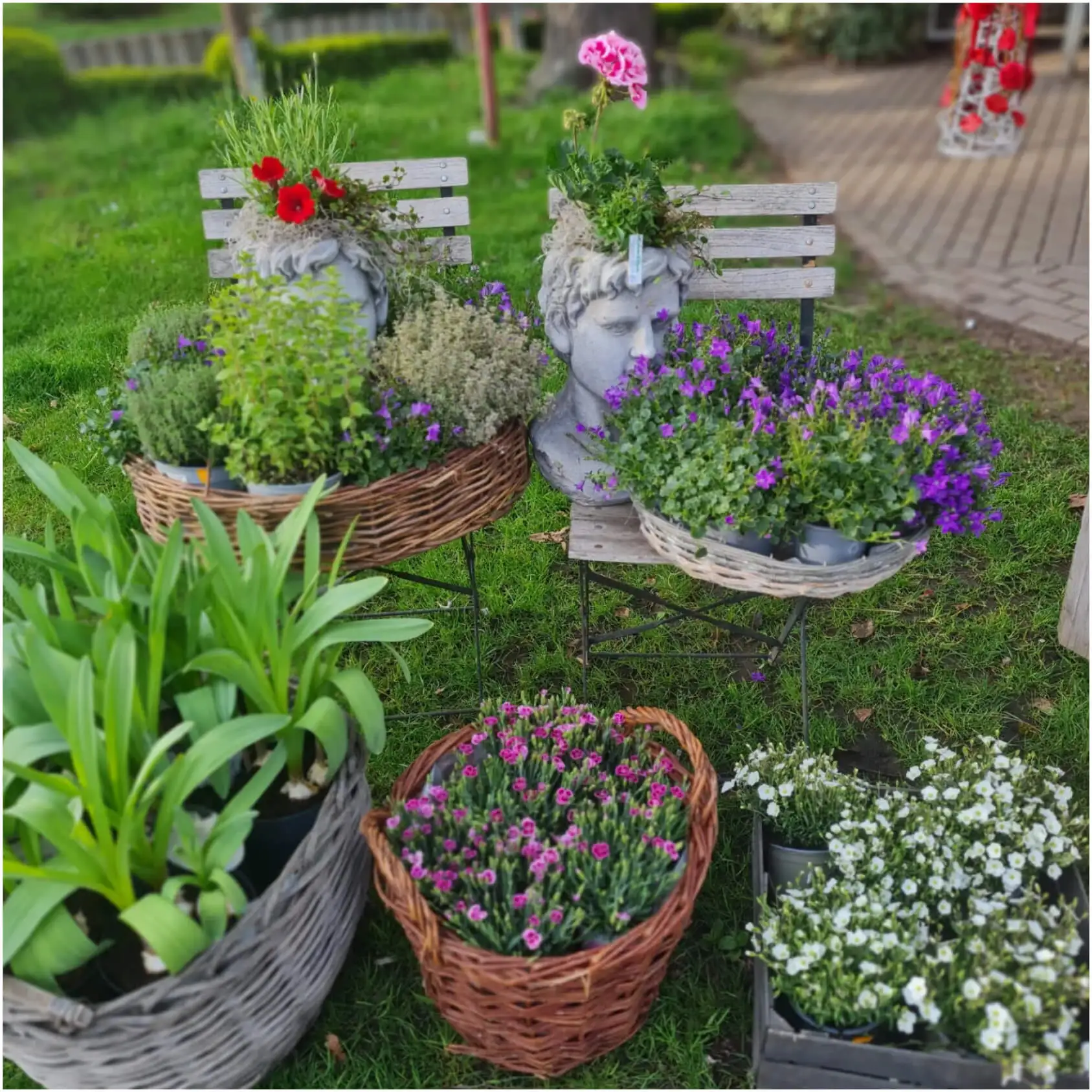 Erfurter Blumen GmbH