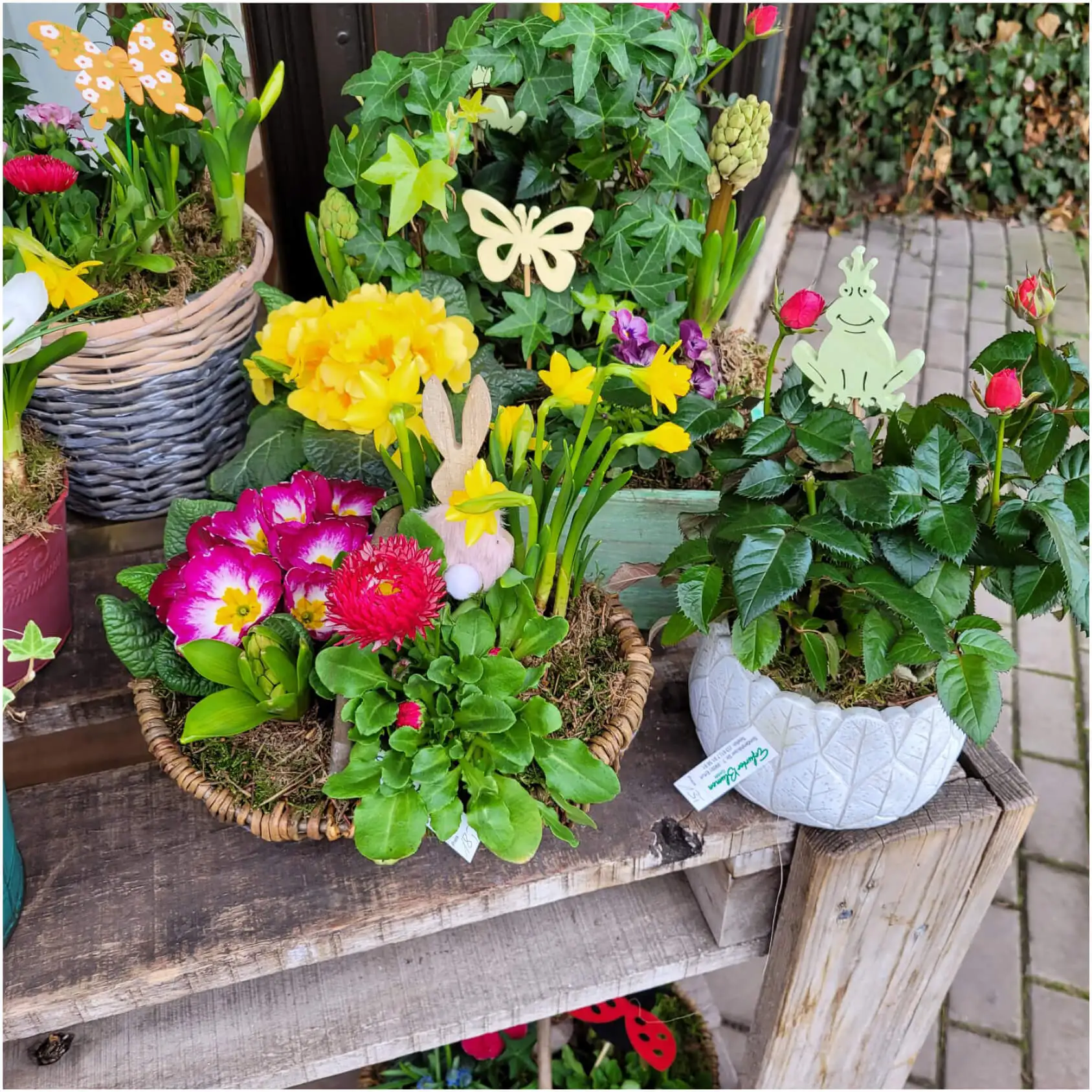 Erfurter Blumen GmbH
