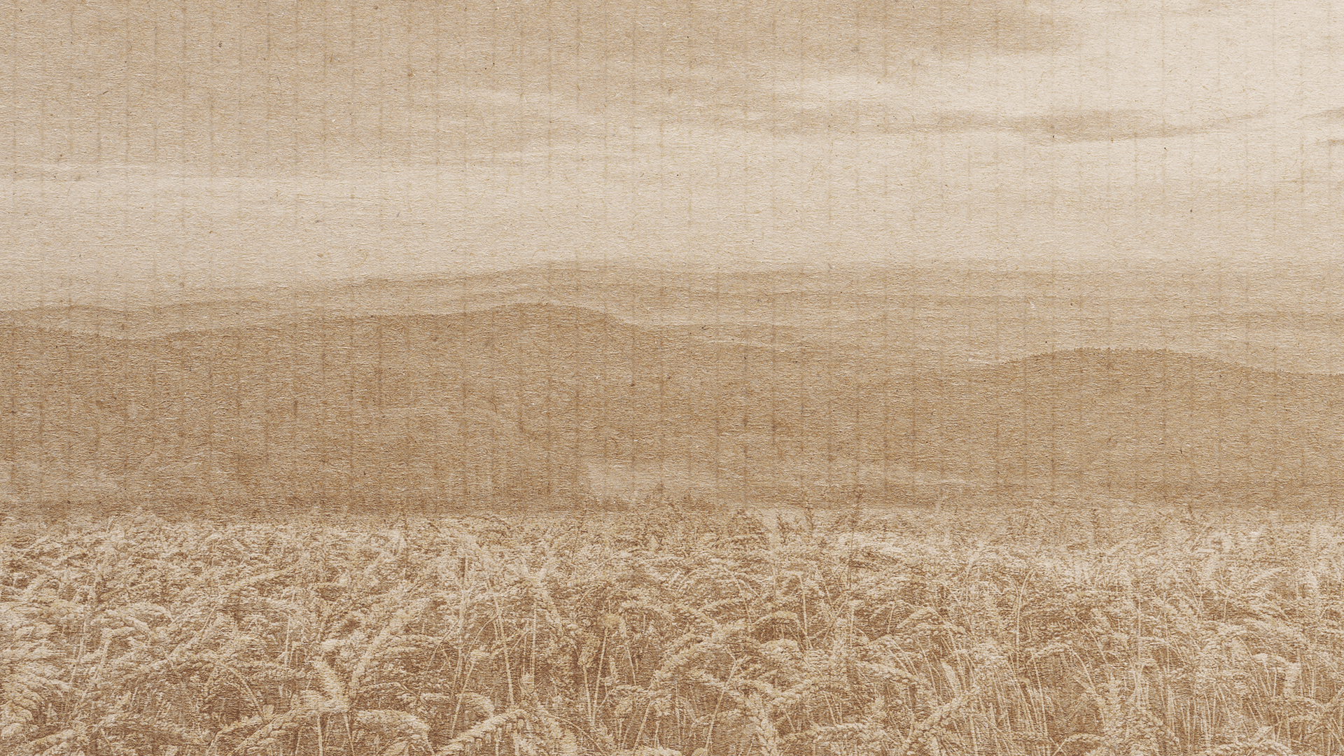 Taunus Braumanufaktur