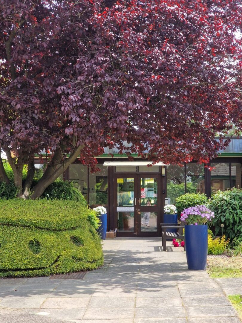 Woking Homes