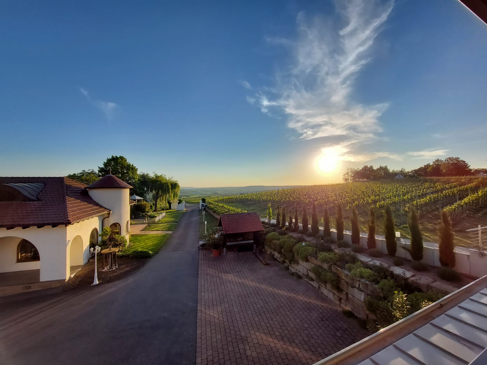 Tolle Aussicht von unserer Weinterrasse