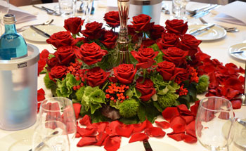 Blumen Holländer