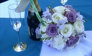Blumen Holländer