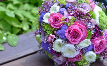 Blumen Holländer