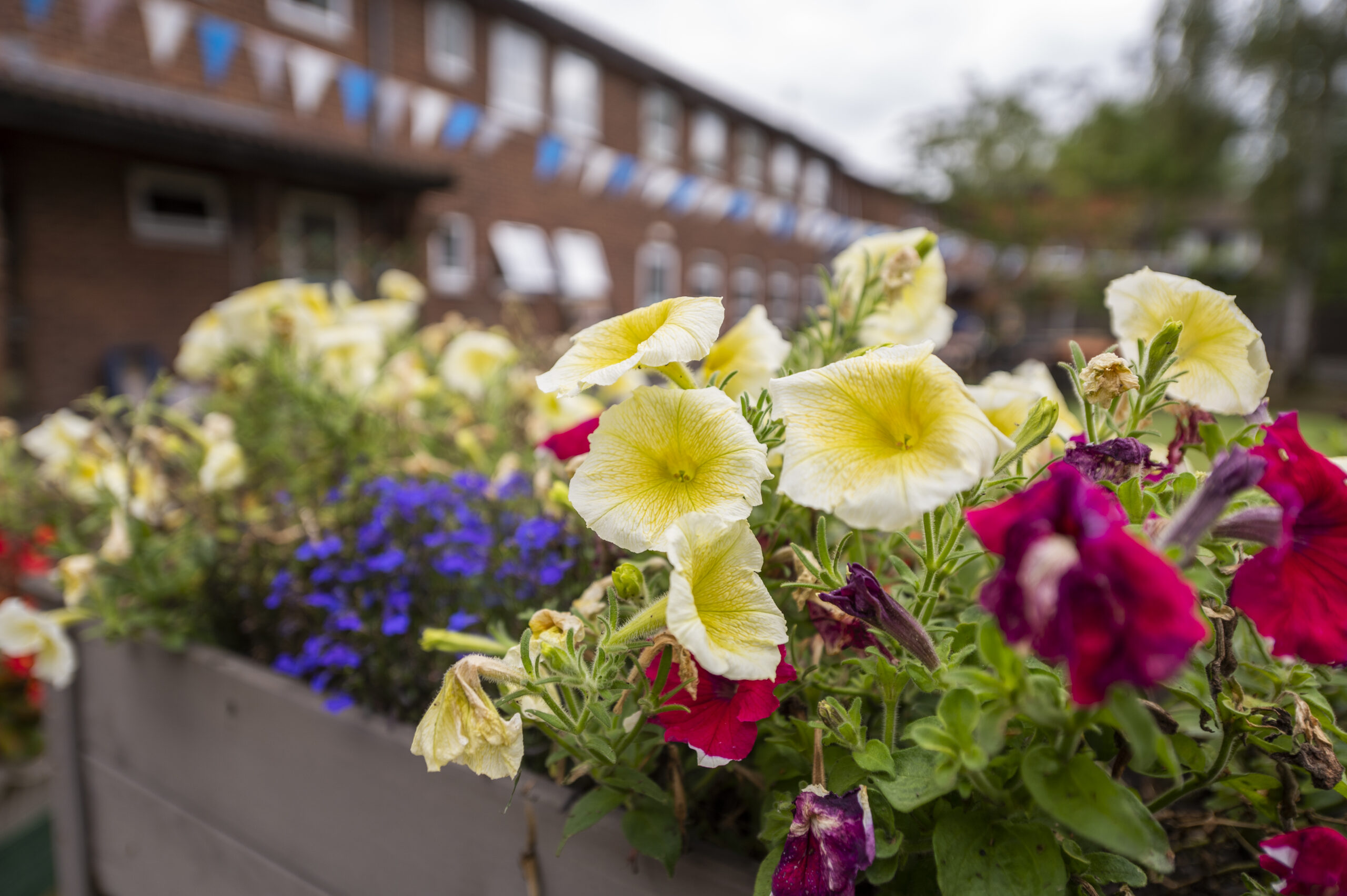 Lucton House Care Home