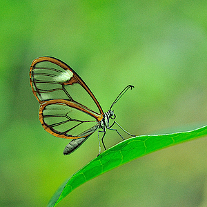 Biosphäre Potsdam