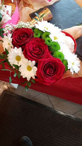Blumen Janzen