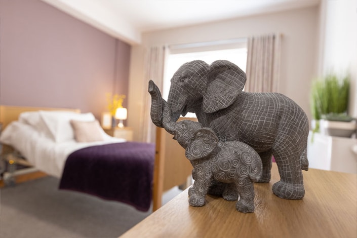 Oak Springs Care Home