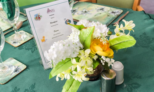 Alton Manor Care Home
