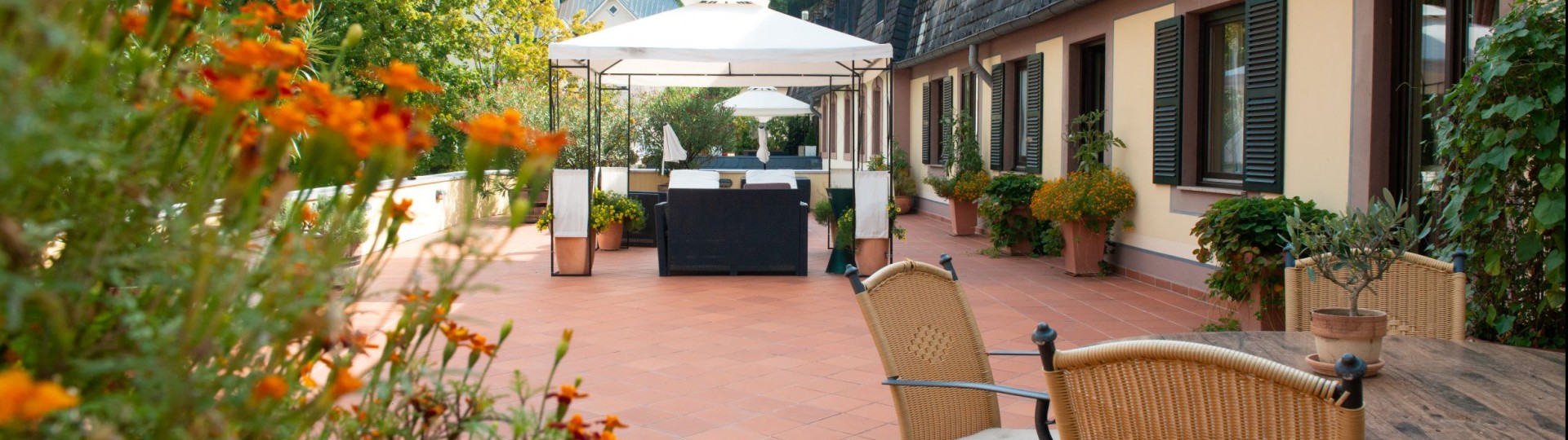 Blesius Garten