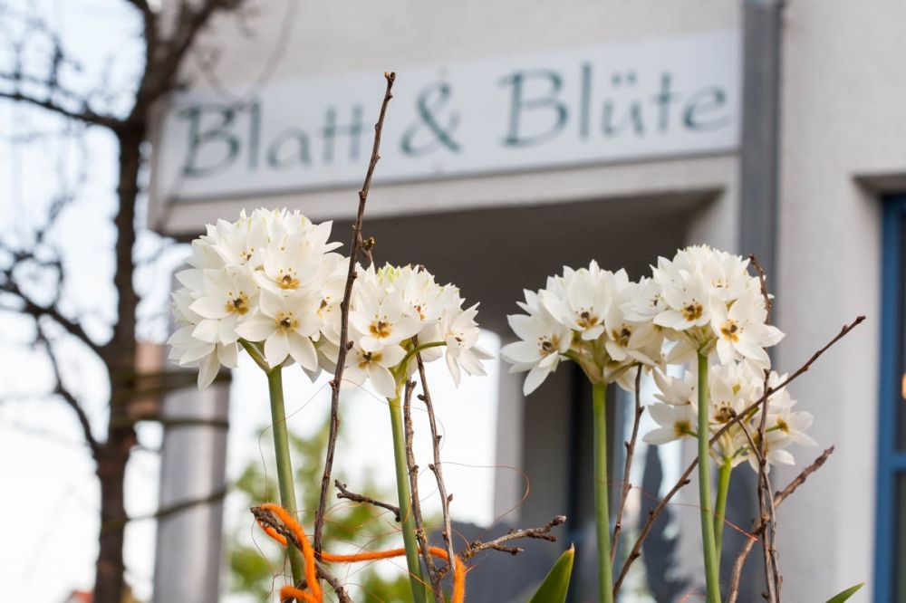 Blatt & Blüte