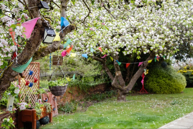 mature trees in the garden