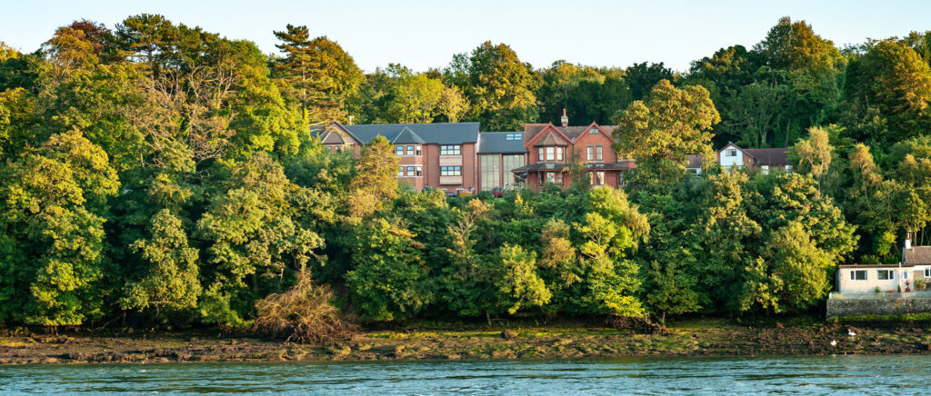 Ceris Newydd