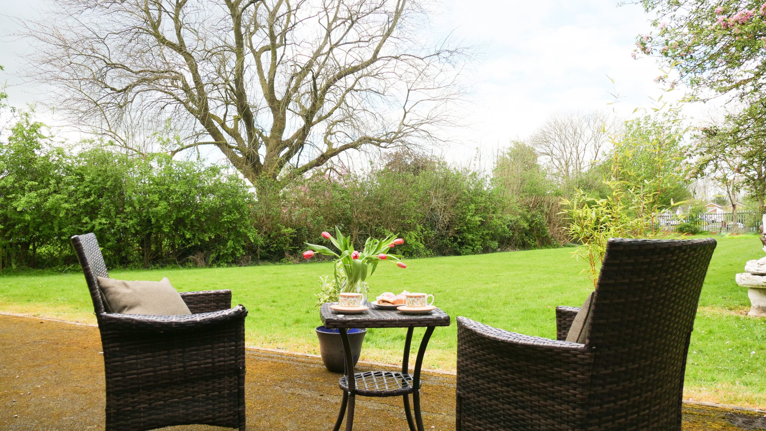 Regency Care Home