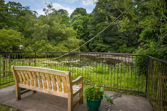Goldielea care home garden