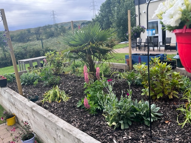 Plants for Regional Garden Competition