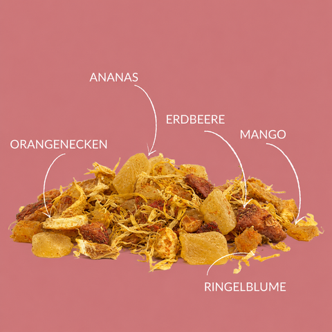 Fruchtig. Sommerlich. Unser Früchtetee Mango Mambo ist eine wahre Geschmacksexplosion