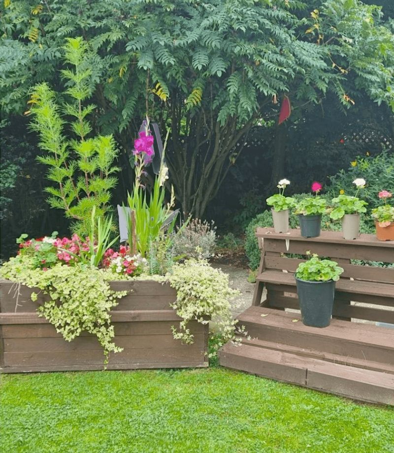Planters Full of Plants &amp; Flowers