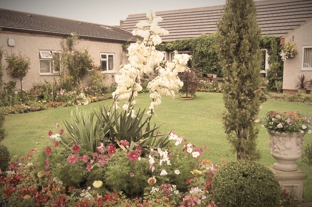 Eden Cottage Care Home