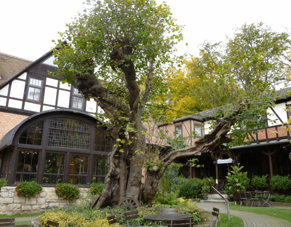 Braugasthof Papiermühle